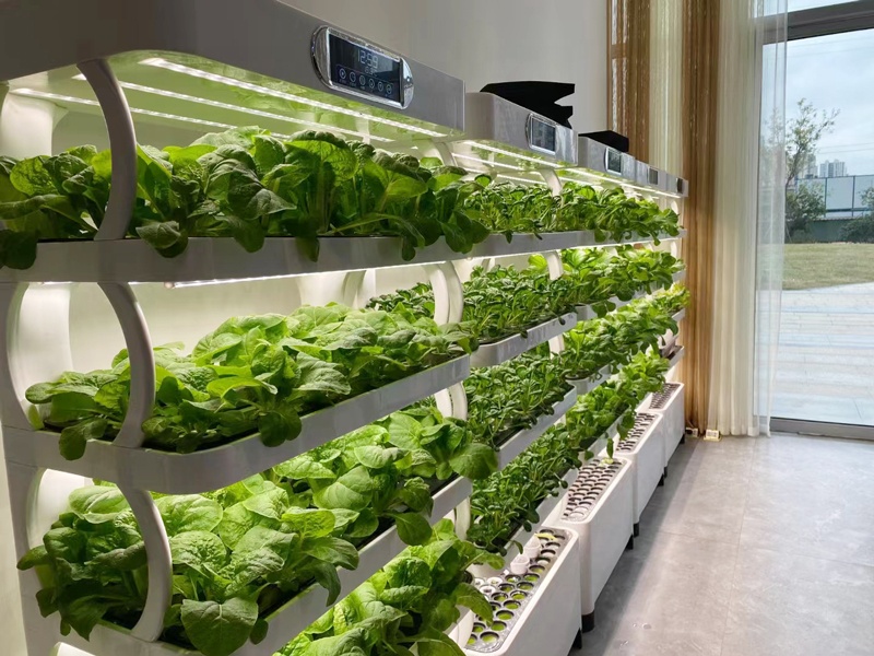 and Vertical Greenhouse Comple - đánh giá và giá Smart Garden Vertical Planter