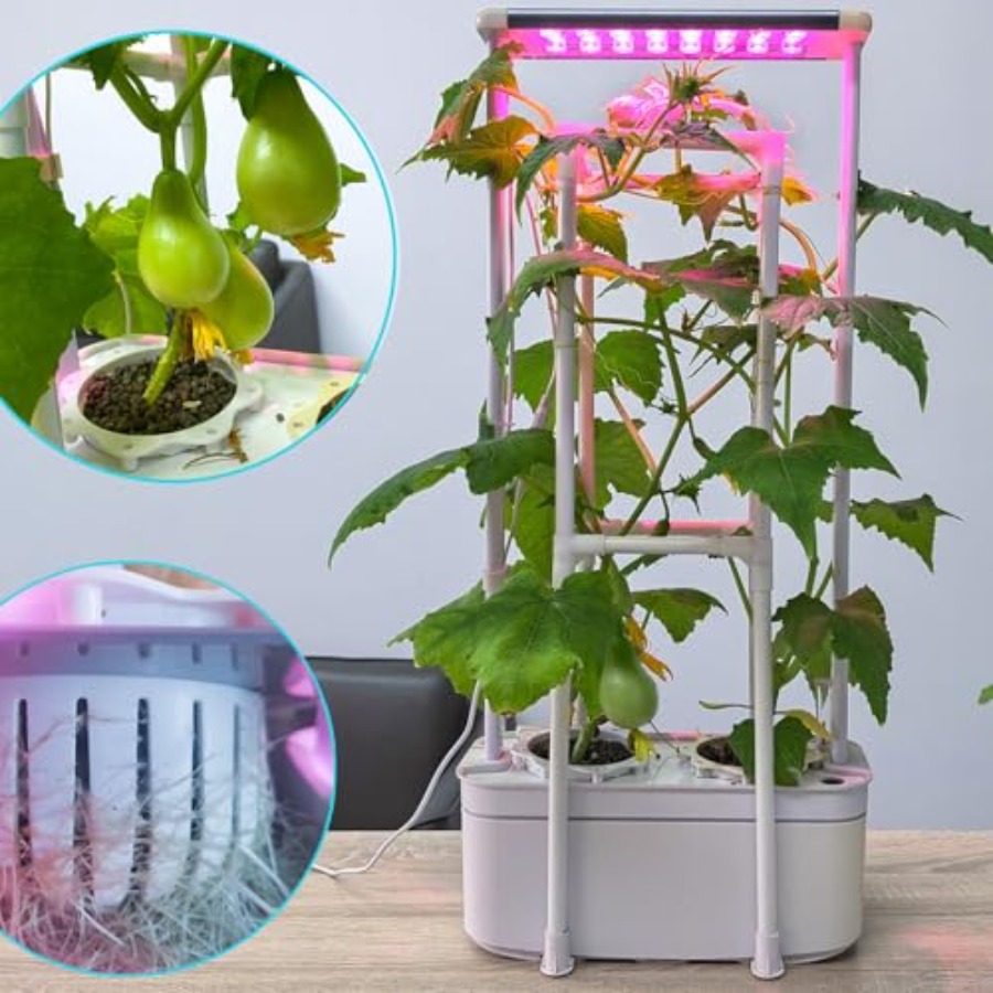 Hydroponics Growing System kit - đánh giá và giá Smart Garden Usa