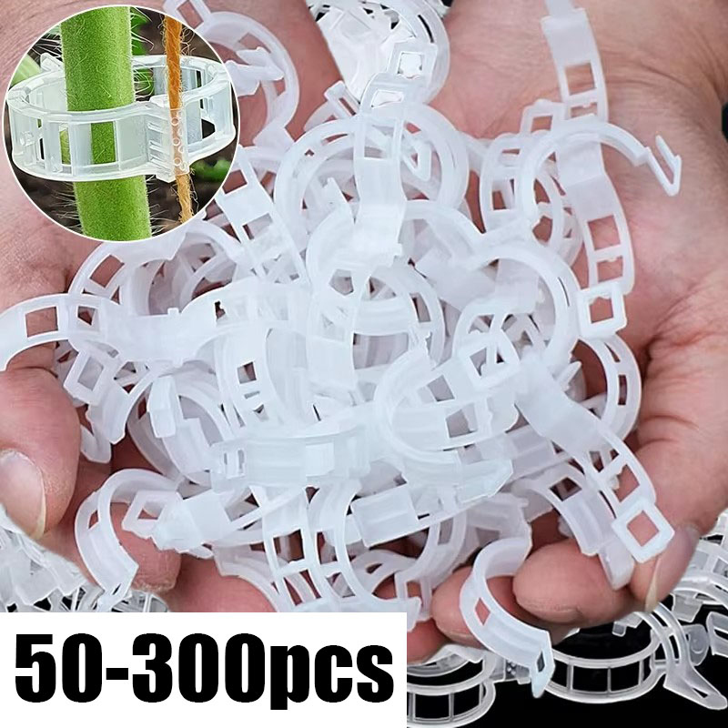 50-300PCS Plant Support Clips  - đánh giá và giá Smart Garden Furniture