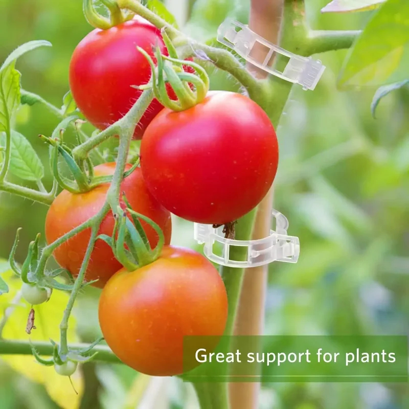 50-300PCS Plant Support Clips  - đánh giá và giá Smart Garden Furniture