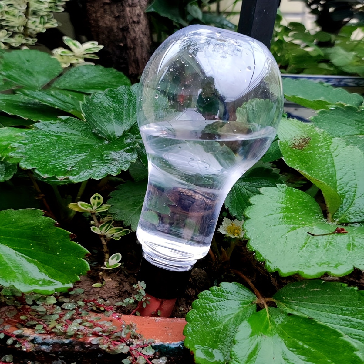 Garden Automatic Watering Tool - đánh giá và giá Smart Garden Furniture