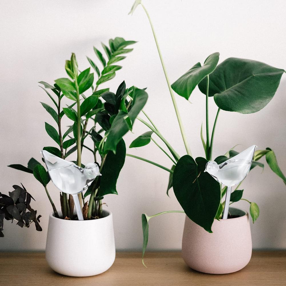 Automatic Plant Watering Bulbs - đánh giá và giá Smart Garden Sensors