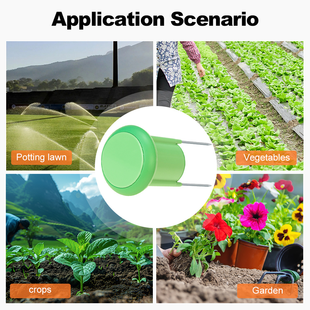Zigbee Smart Soil Sensor Plant - đánh giá và giá Smart Garden Sensors