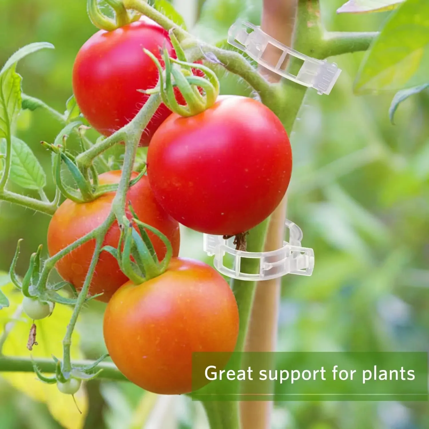 500/50PCS Plant Support Clips  - đánh giá và giá Smart Garden Furniture
