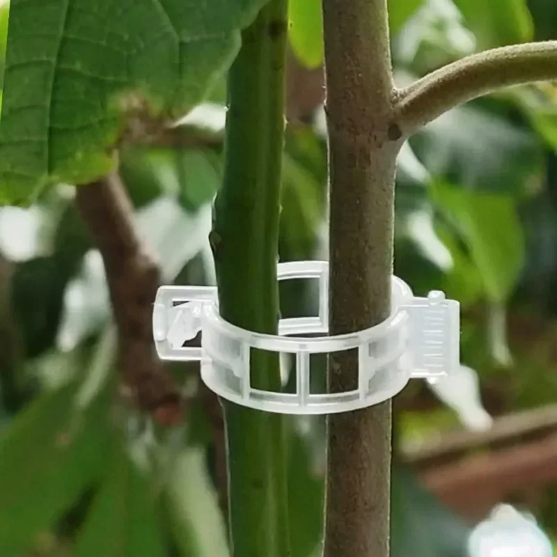 500/50PCS Plant Support Clips  - đánh giá và giá Smart Garden Furniture