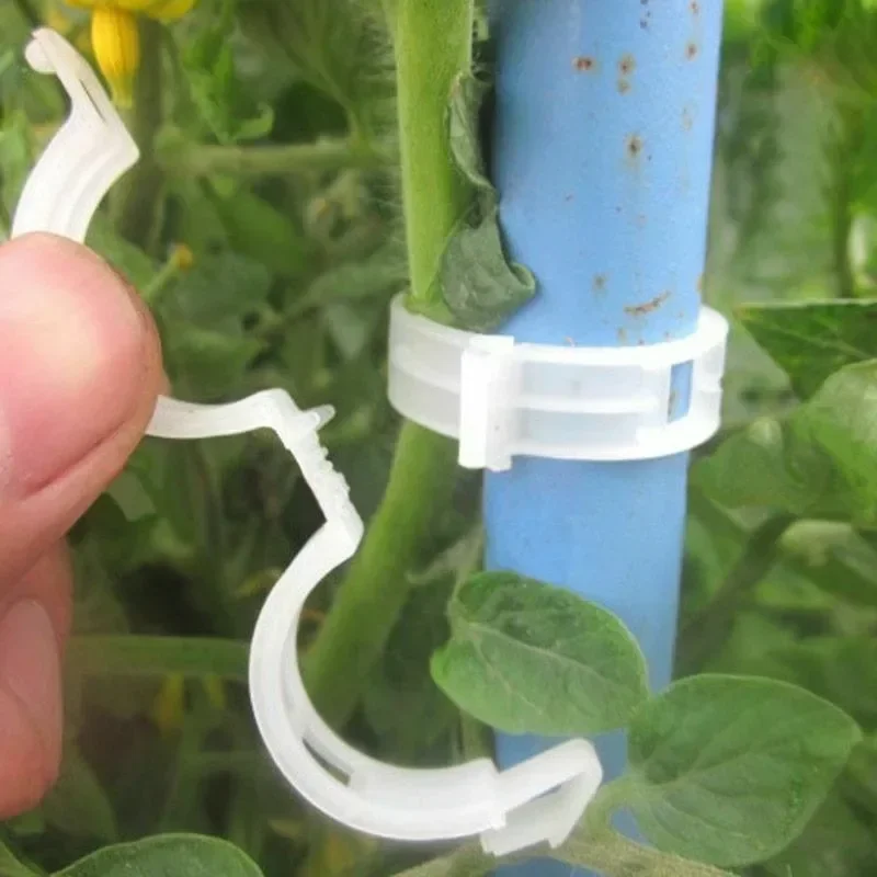 500/50PCS Plant Support Clips  - đánh giá và giá Smart Garden Furniture