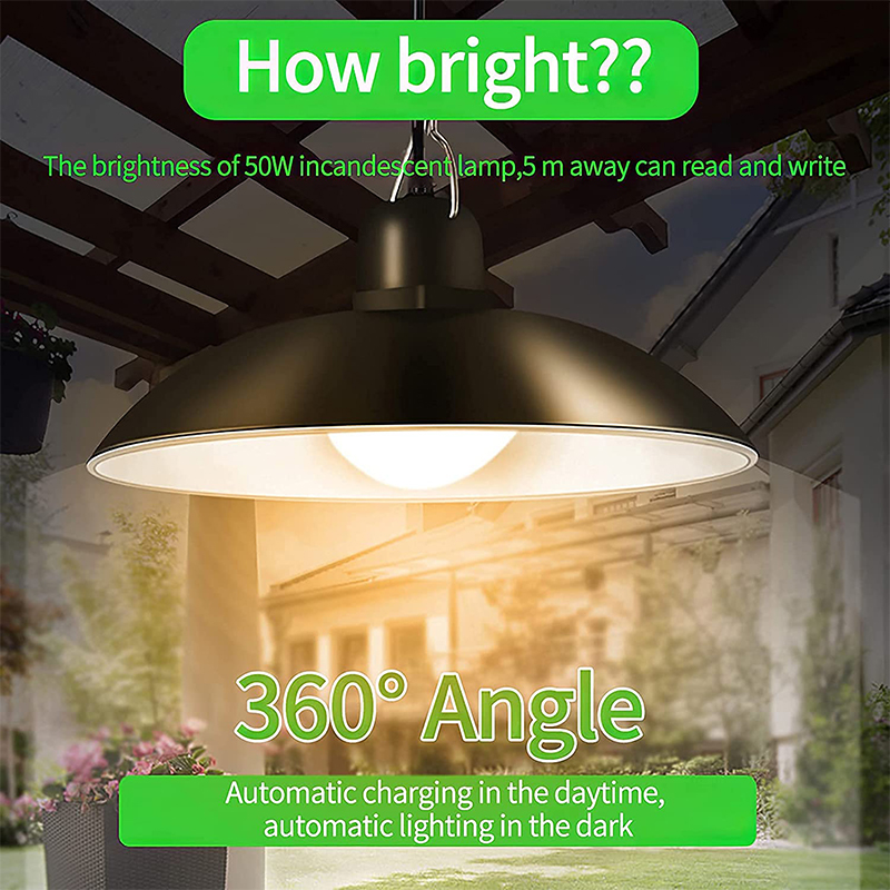 Single Head Solar Pendant Ligh - đánh giá và giá Smart Garden Sheds
