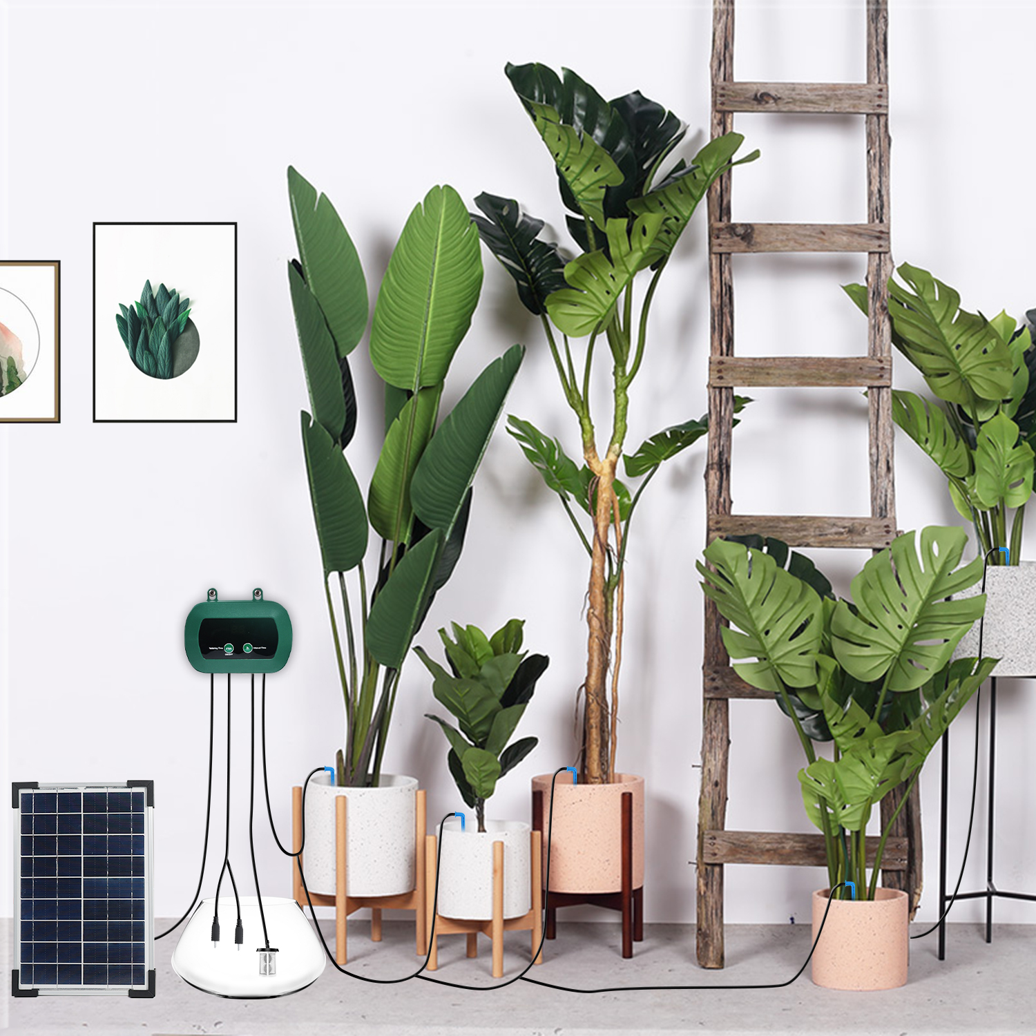 Solar Hydroponics Equipment  M - đánh giá và giá Smart Garden Usa