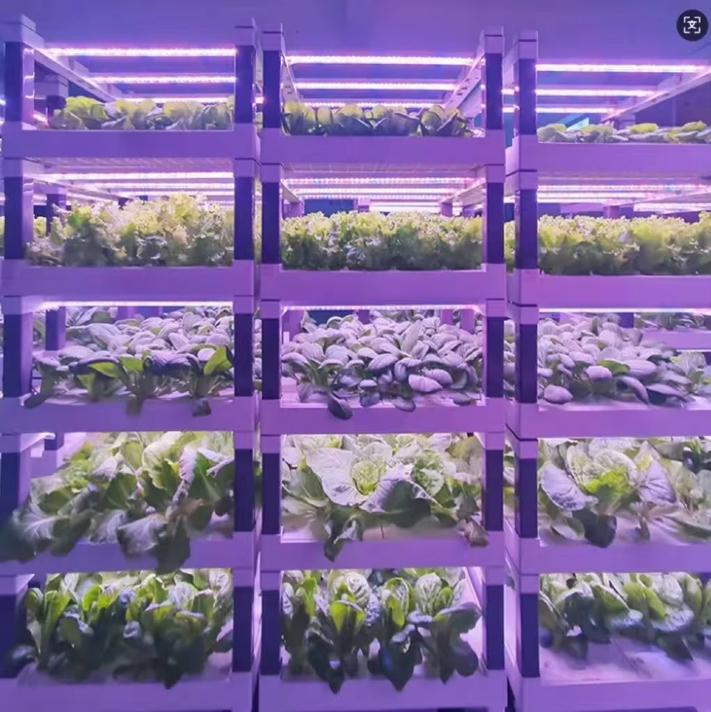 Hydroponic Grow System Greenho - đánh giá và giá Smart Garden Usa