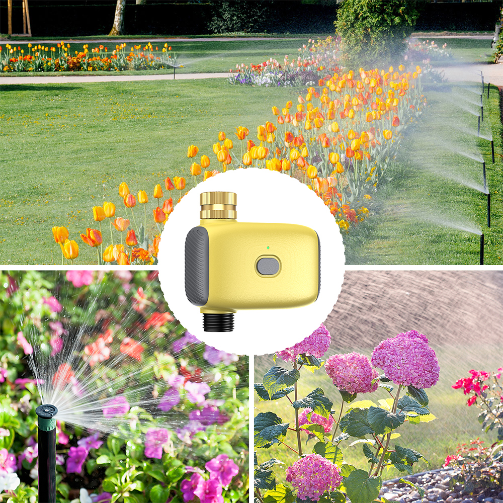 Wholesale Smart Digital  Water - đánh giá và giá Smart Garden Usa